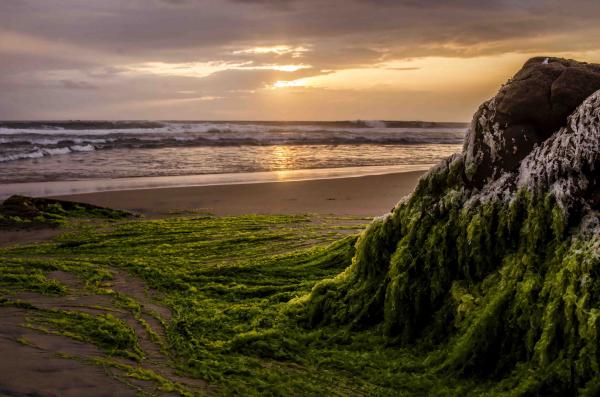 Sea scape  in Kovalam beach