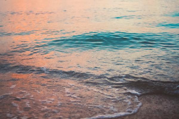 Sea Shore