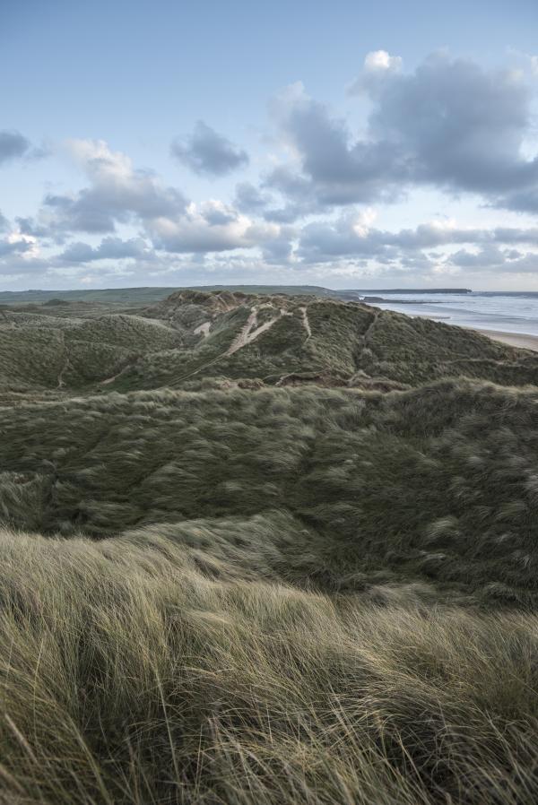 Sea Shore