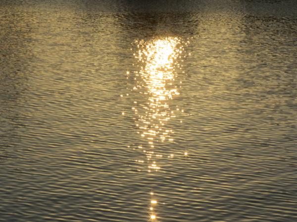 Sea water at sunset
