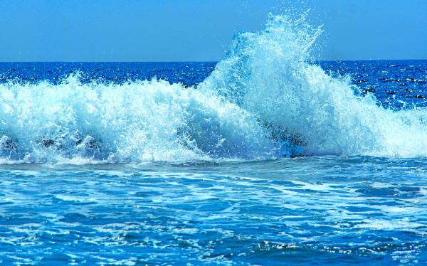Sea wave
