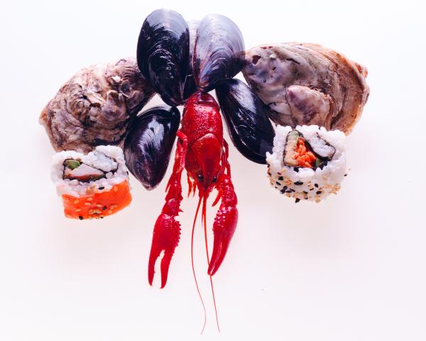 Seafood