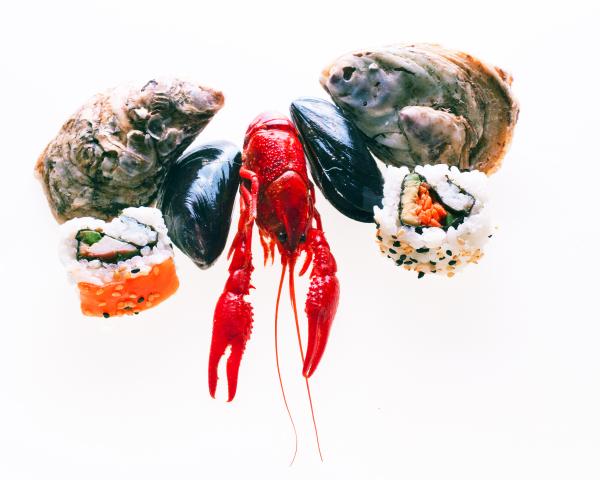 Seafood