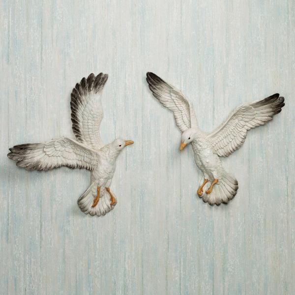 Seagull