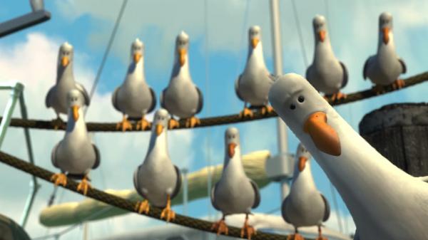 Seagulls