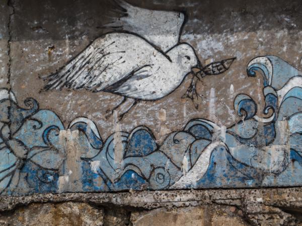 Seagull caught on wall
