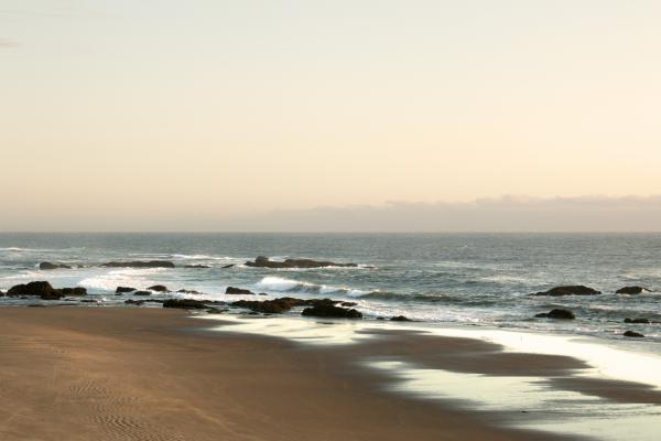 Seal Rock, Walport, Oregon