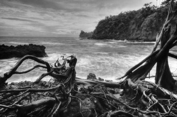 Seascape