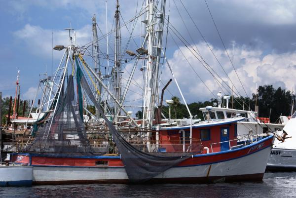 Seascapes vessels