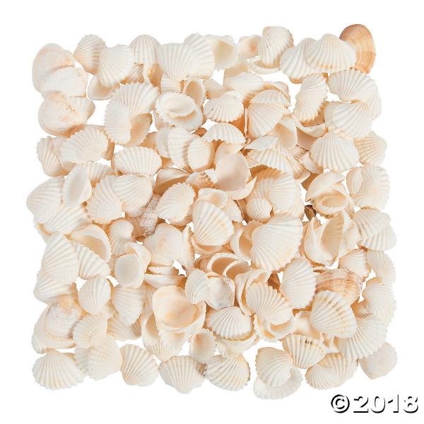 Sea Shells
