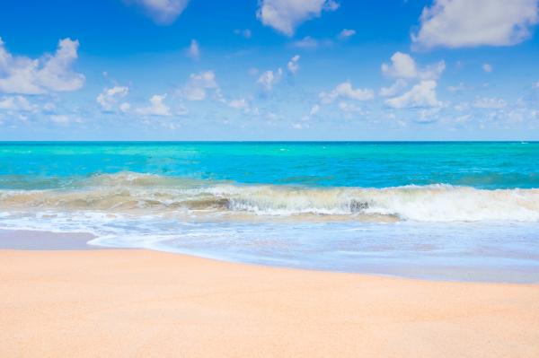 Seashore Photo