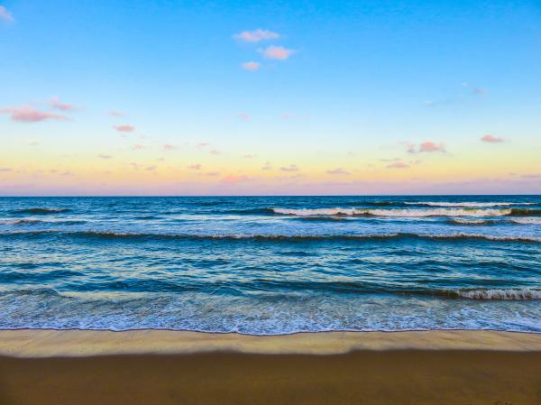 Seashore With Sea Waves during Daytime