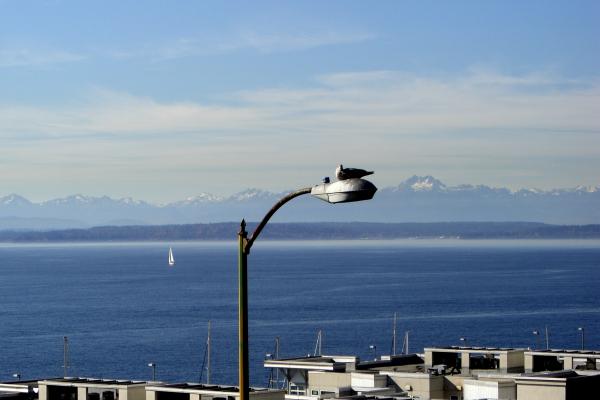 Seattle