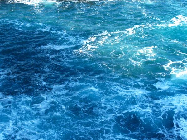 Seawater texture