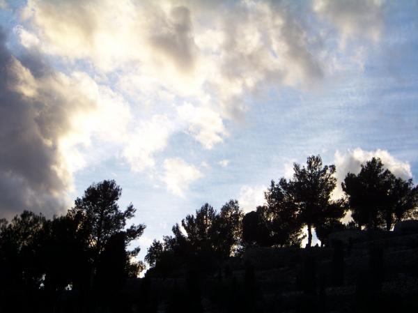 Seeing the light
