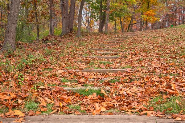 Seneca Fall Steps - HDR