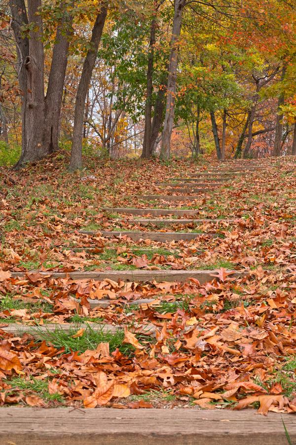 Seneca Fall Steps - HDR