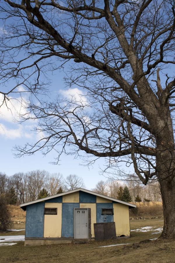 Shack and Tree