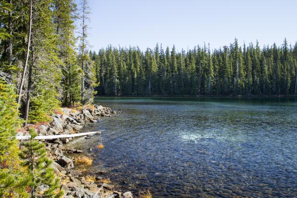 Shadow Bay, Waldo Lake, Oregon