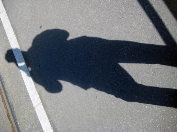 Shadow on a Rail