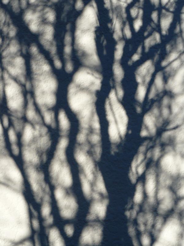 Shadow Patterns