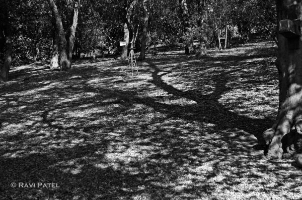 Shadow Patterns