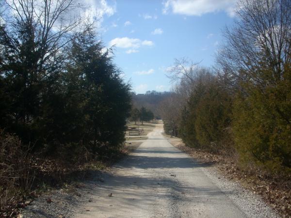 Shadowy Road