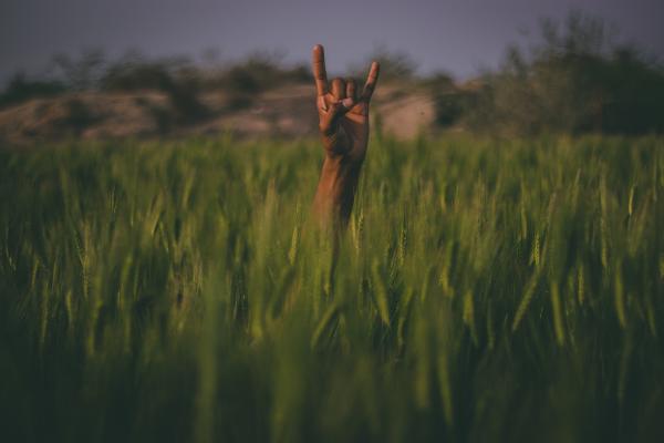 Shallow Focus Photography of Person Hand