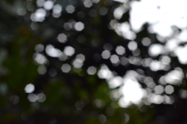 Shattered and Clump of Honeycomb Lights