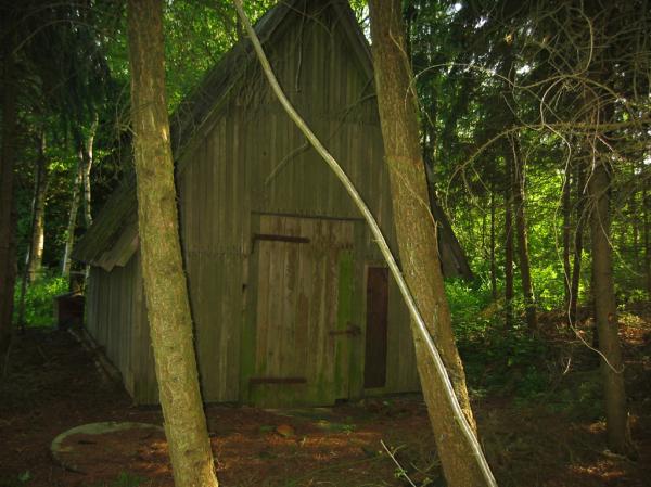 Shed in the woods