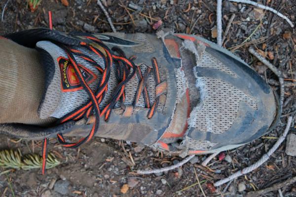 Shoes thru hedge