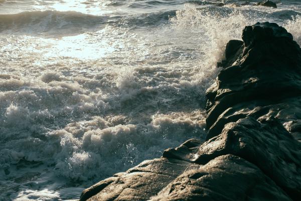 Shore