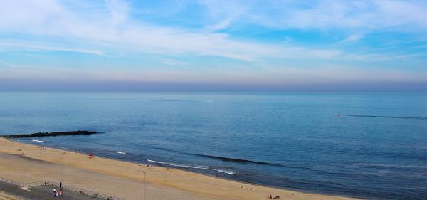 Shore