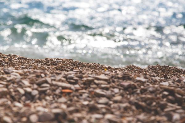 Shore
