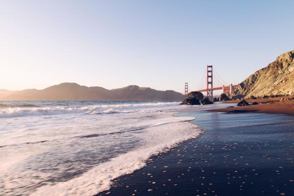 Shore