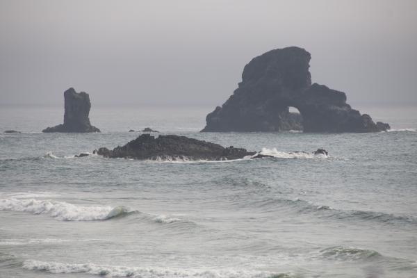 Short Beach, Oregon, Foggy Day