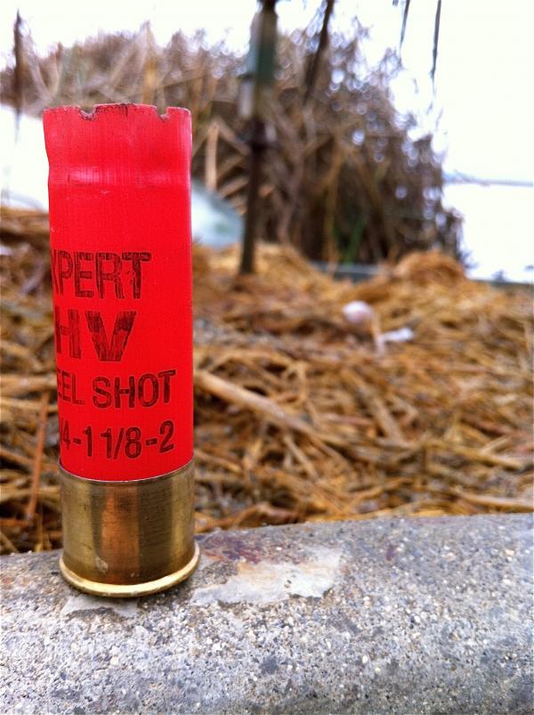 Shotgun Shell