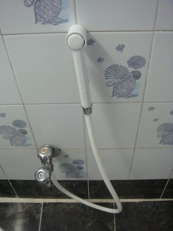 Shower Head