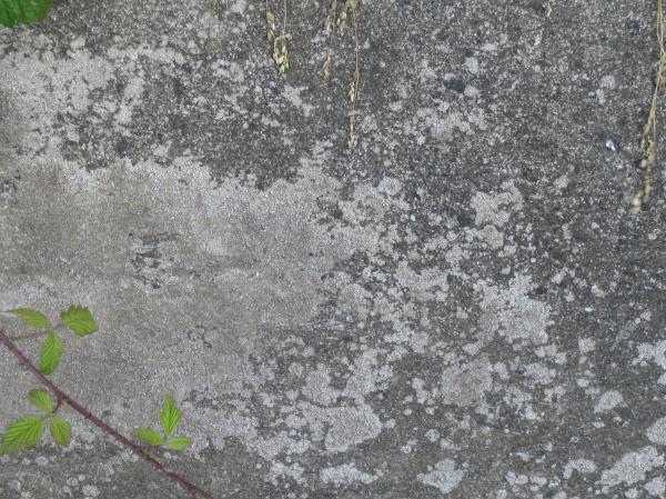 sidewalk