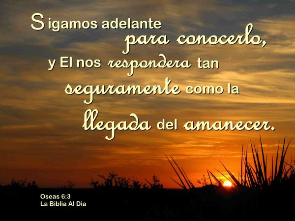 Sigamos Adelante Para Conocerlo