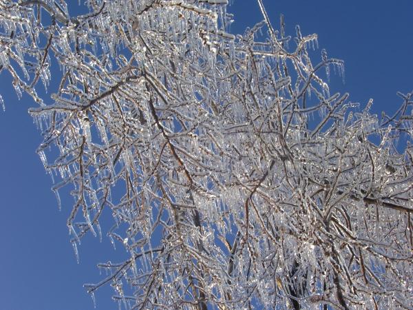 Sights of the seasons