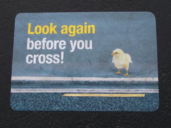 Signs in Dunedin -  December 2009