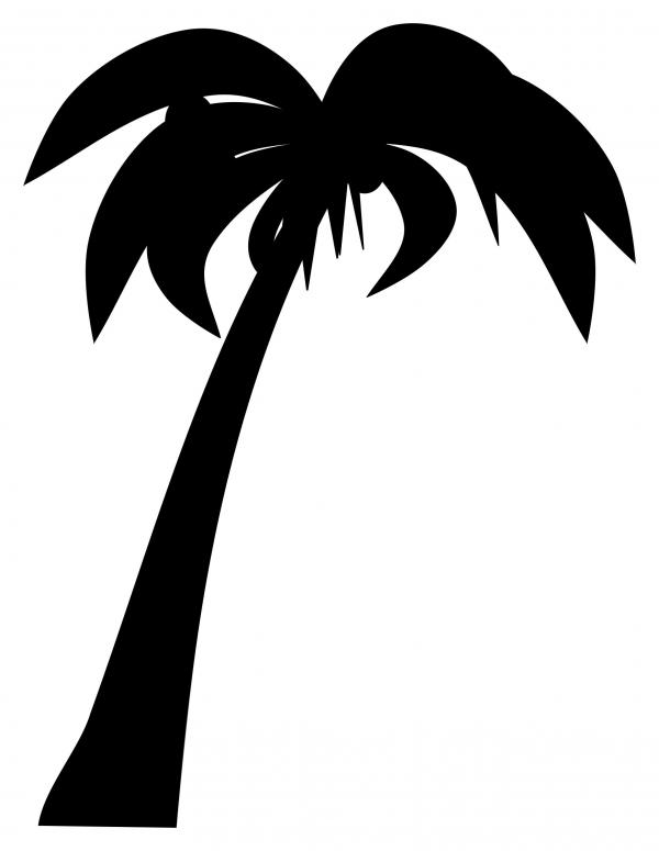 Silhouette of Coconut Tree