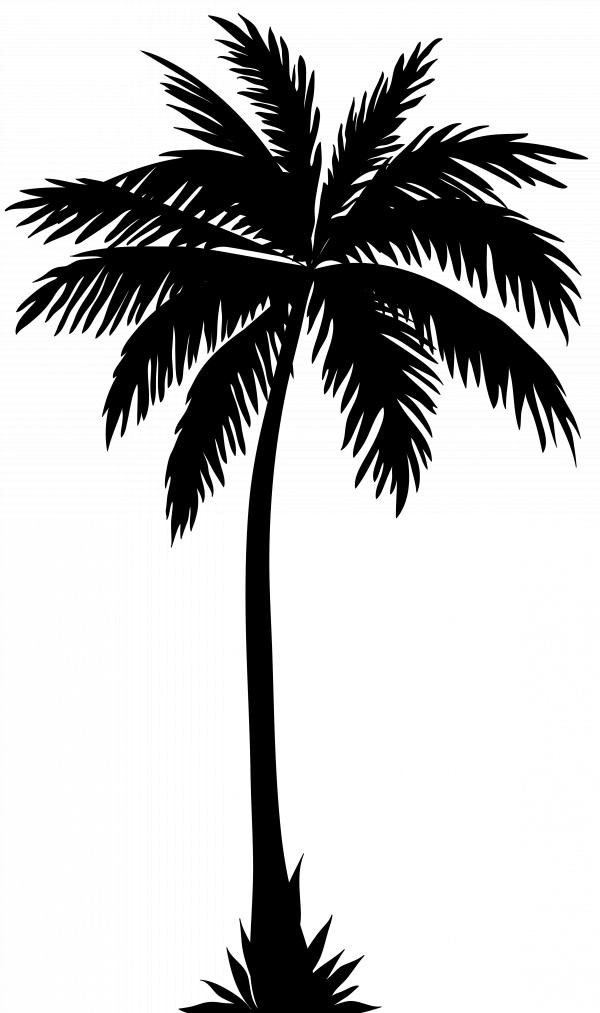 Tropical Palms Silhouette