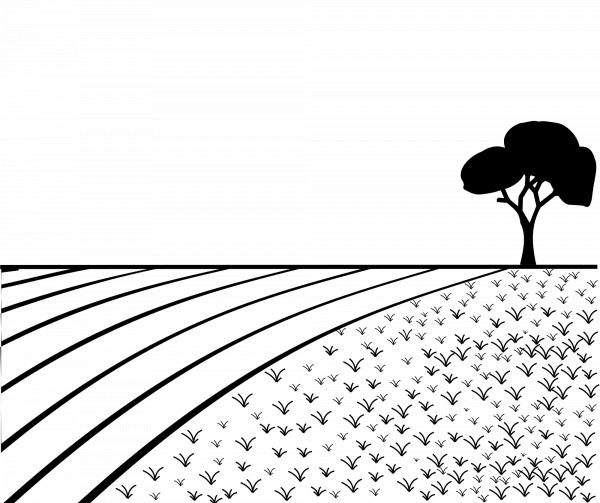 Silhouette of Field
