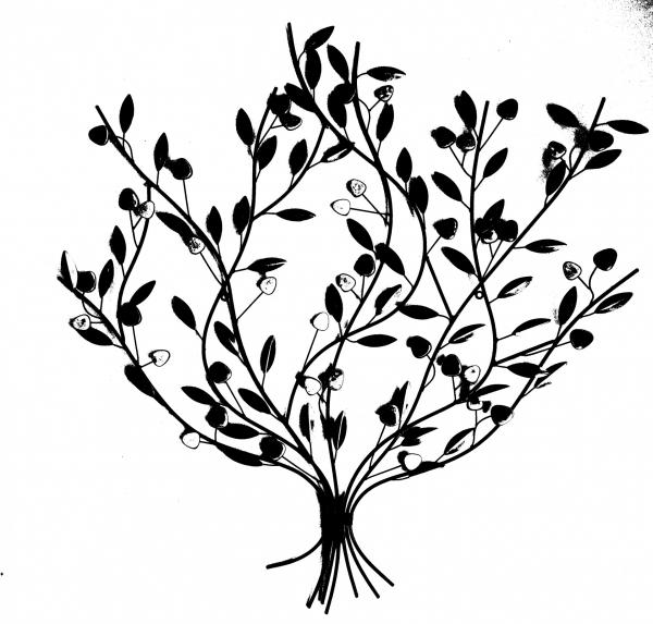 Silhouette Plants
