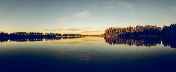 Silhouette of Trees Beside Body of Water Under Clear Blue Sky