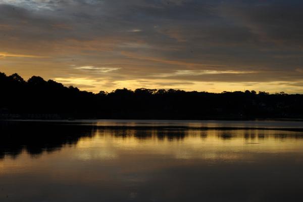 Silhouette Photo of Trees Near River