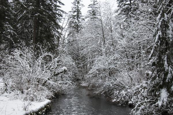 Silver creek 3
