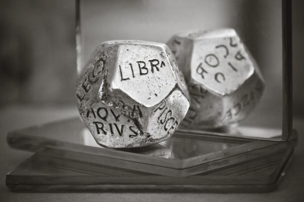 Silver Zidiac 20 Sided Dice